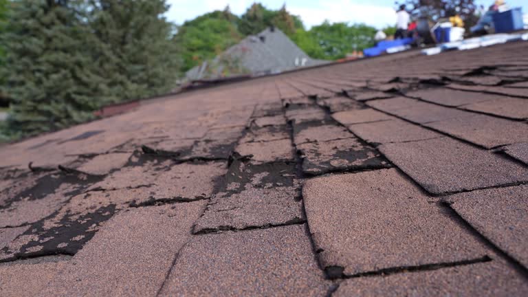 Gutter Replacement in Wildwood, TN