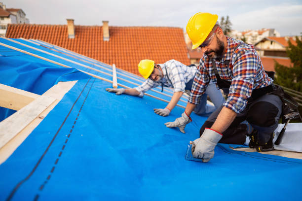 Best Chimney Flashing Repair  in Wildwood, TN