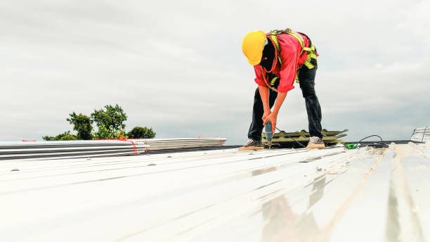 Best Roof Moss and Algae Removal  in Wildwood, TN